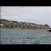 IMG_6484
3/21/2007 1:29:40 PM